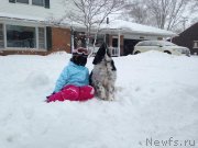 Превью фото № 143569