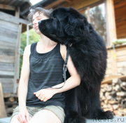 Превью фото № 143576