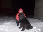 Превью фото № 143577