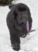 Превью фото № 143580