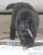 Превью фото № 143581