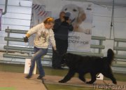 Превью фото № 143674