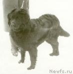 Превью фото № 1437