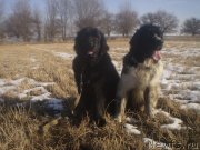 Превью фото № 143761