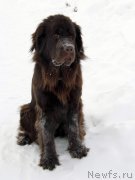 Превью фото № 143780