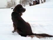 Превью фото № 143781