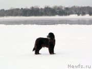 Превью фото № 143782