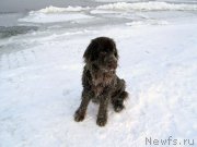 Превью фото № 143783