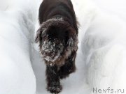 Превью фото № 143785