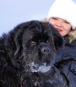 Превью фото № 143831