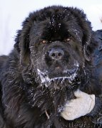 Превью фото № 143832