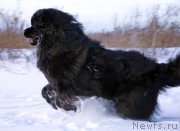 Превью фото № 143839