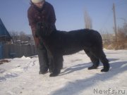 Превью фото № 143990