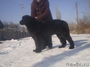 Превью фото № 143991