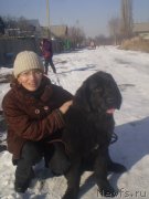 Превью фото № 143992