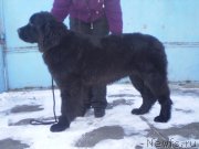 Превью фото № 143994