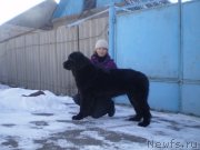 Превью фото № 143995