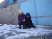 Превью фото № 143996