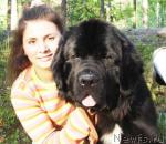 Превью фото № 144