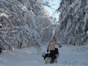 Превью фото № 144110