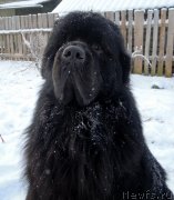 Превью фото № 144174