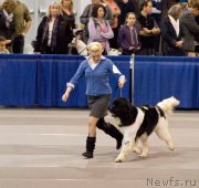 Превью фото № 144233