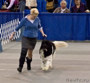 Превью фото № 144234