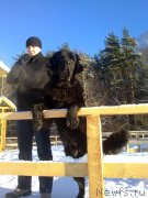 Превью фото № 144428