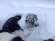 Превью фото № 144517