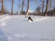 Превью фото № 144529