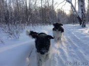 Превью фото № 144538