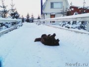 Превью фото № 144548