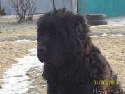 Превью фото № 144553