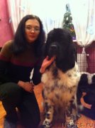 Превью фото № 144556