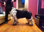 Превью фото № 144557