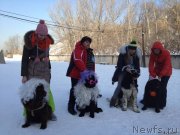 Превью фото № 144559