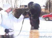 Превью фото № 144562