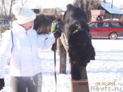 Превью фото № 144564