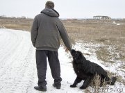 Превью фото № 144568