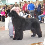 Превью фото № 144570