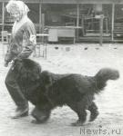 Превью фото № 1447