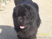 Превью фото № 144762