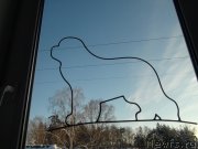 Превью фото № 144893