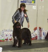 Превью фото № 144918