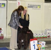 Превью фото № 144919