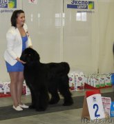 Превью фото № 144993