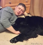 Превью фото № 144994