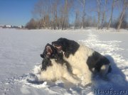 Превью фото № 145000