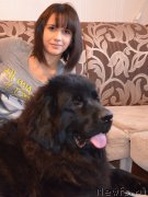 Превью фото № 145085