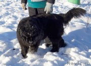 Превью фото № 145095